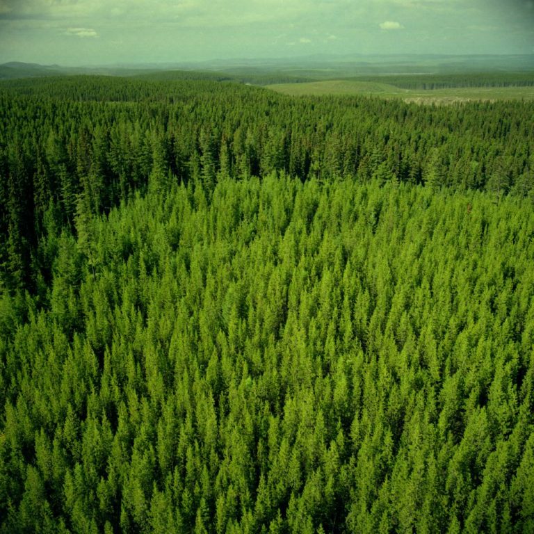 Land Transfers in Northeast British Columbia govTogetherBC