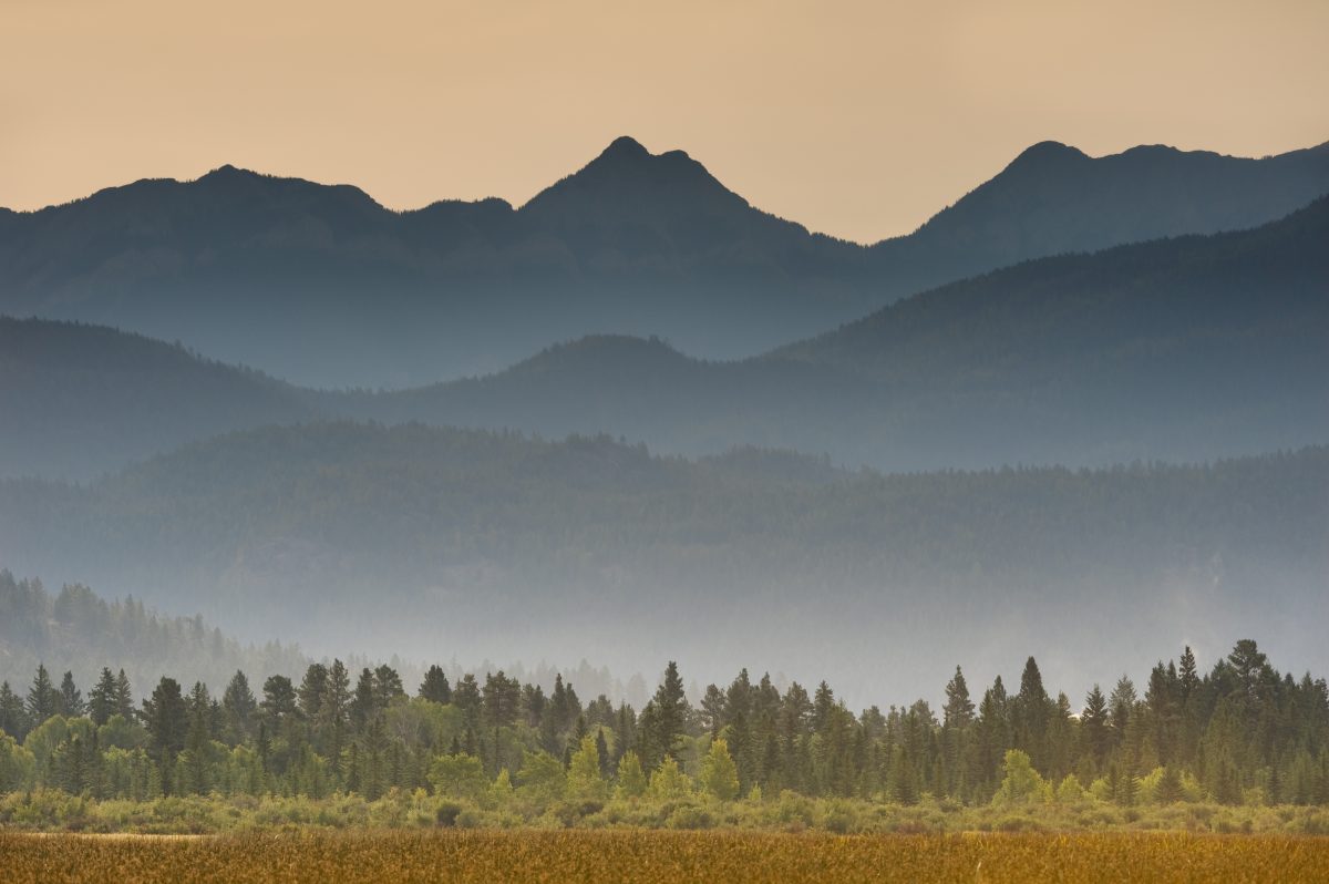 Lakes Resiliency Project - GovTogetherBC