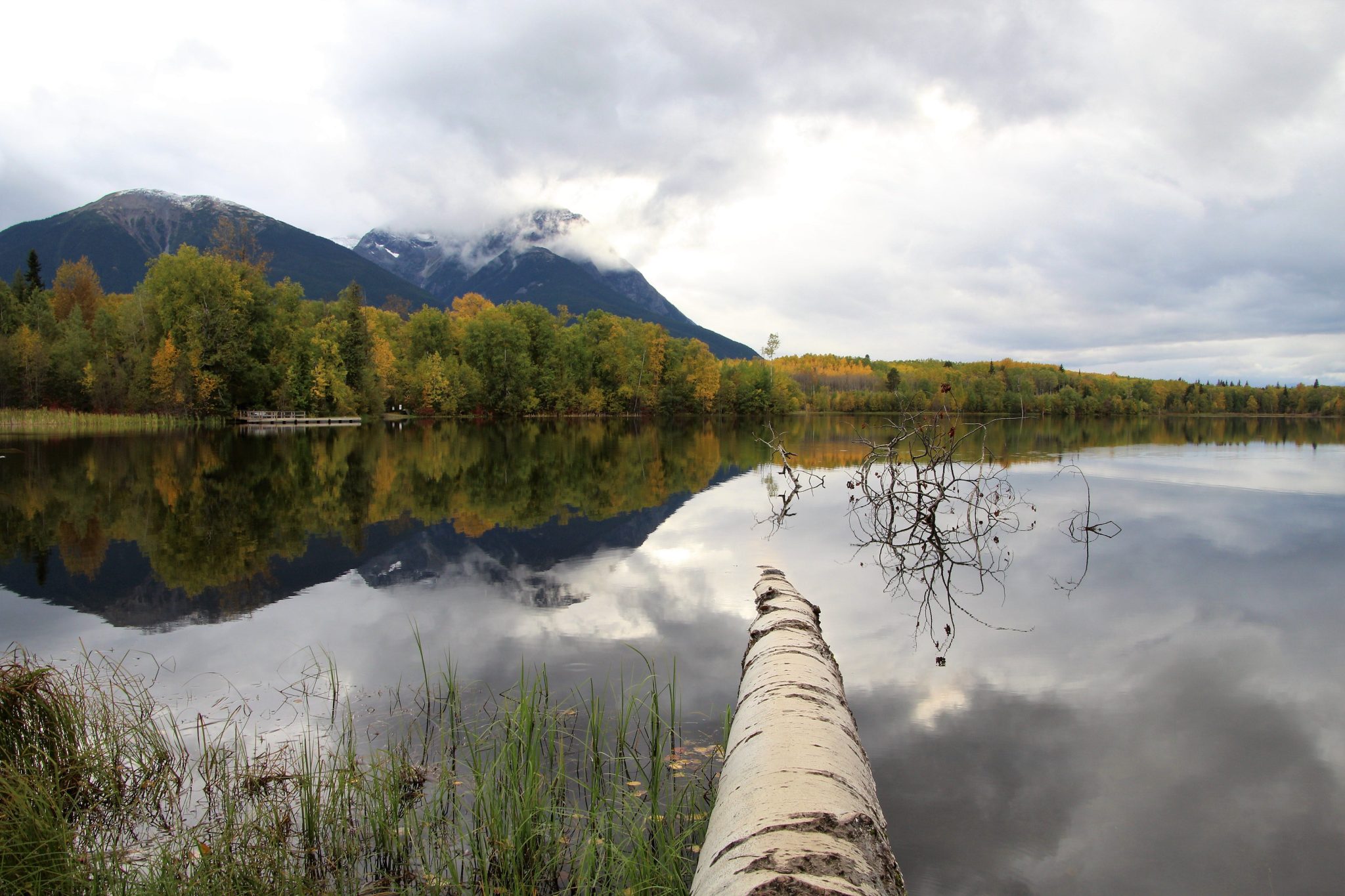 Ross Lake Water Level - GovTogetherBC