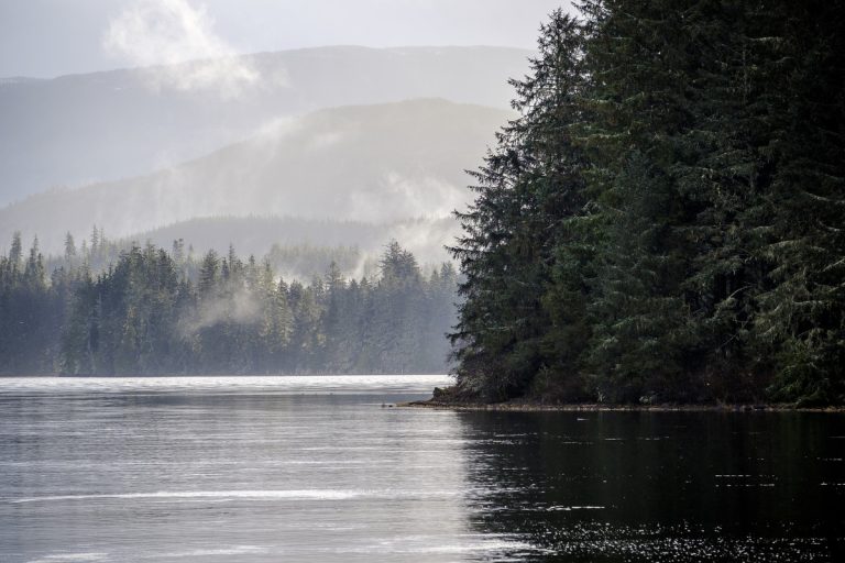 Tree Farm Licence 37 Forest Landscape Planning - GovTogetherBC