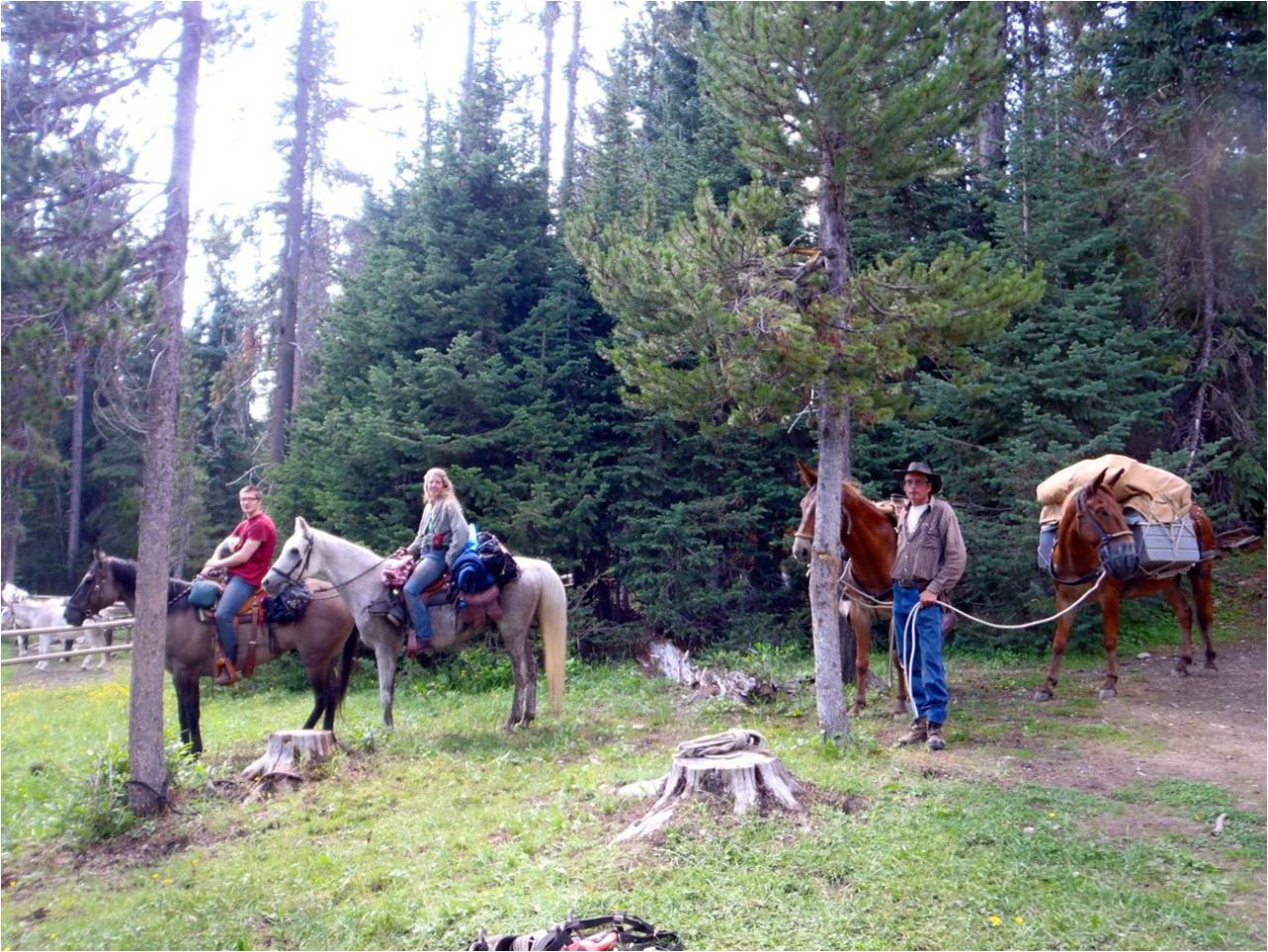 Guest Blog – Kelley Cook, Dewdney Trail, Manning Park – BC Parks Blog