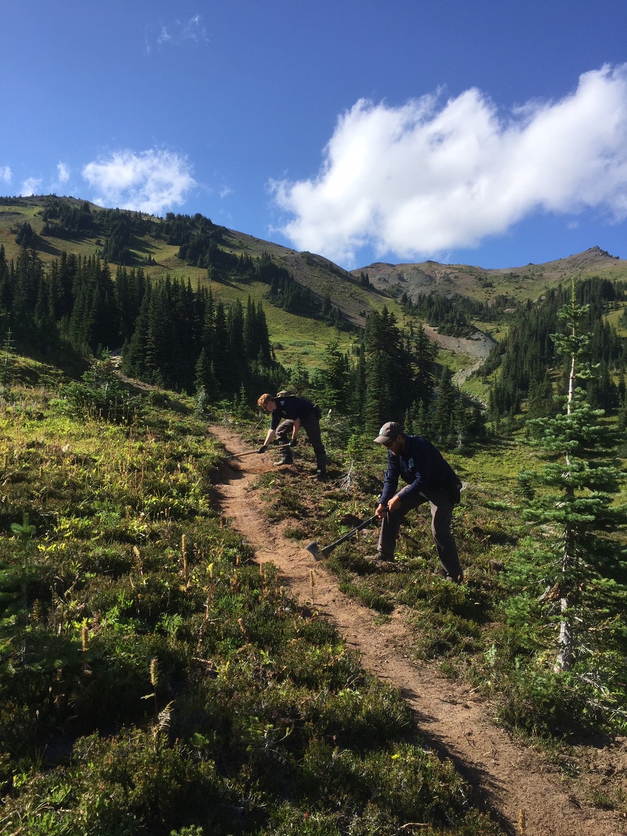 An A+ for BC Parks Student Rangers – BC Parks Blog