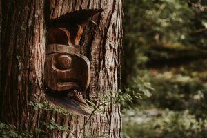 An Indigenous carving in a tree.