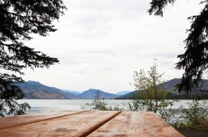 A view from a picnic table looking out onto Kinaskan Lake.