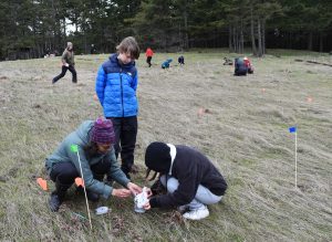 A young person in a blue jacket watching two other people crouched on grass laying out caterpillars. 