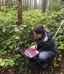A person, in the forest, with a computer downloading data.