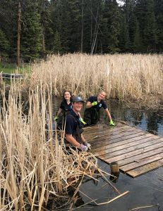 Three people standing in the water beside an old dock, surrounded by bull rushes.