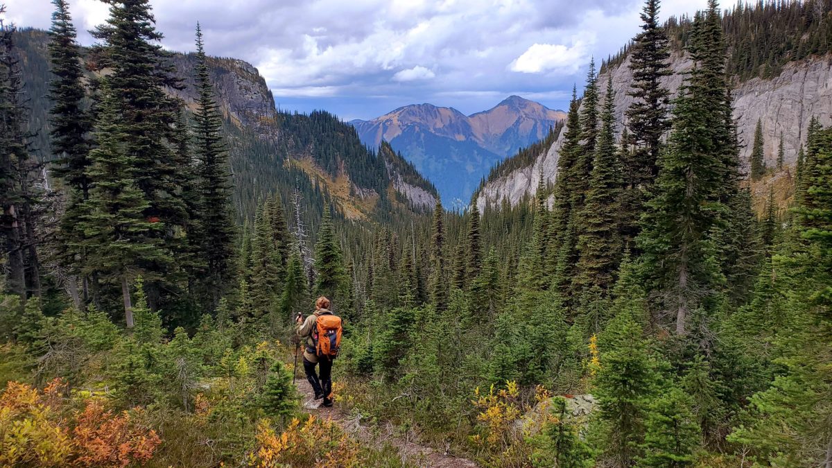 Do you want to become a BC Parks ranger? – BC Parks Blog