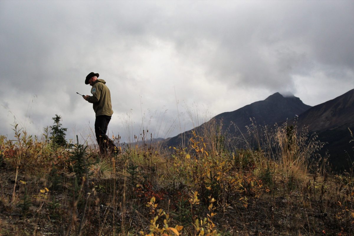 Do You Want To Become A BC Parks Ranger? – BC Parks Blog