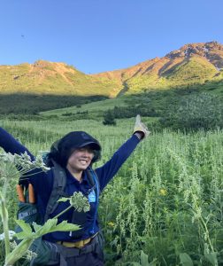 A person with arms outstretched up surrounded by cow parsnip and a mountain behind.