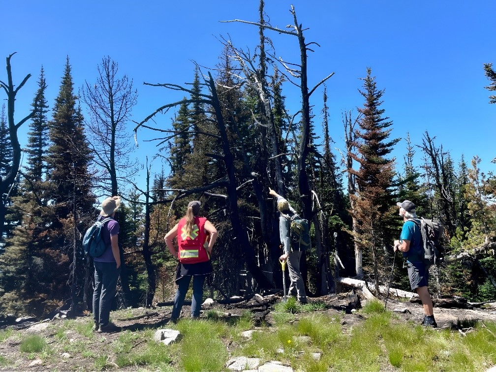 BC Parks’ Community PEF partner Friends of Manning Park observe damage from a recent forest fire.