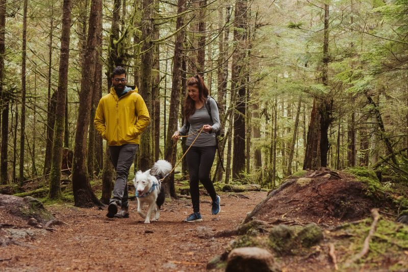 Park visitors hiking on a forest trail with their dog on a leash. 