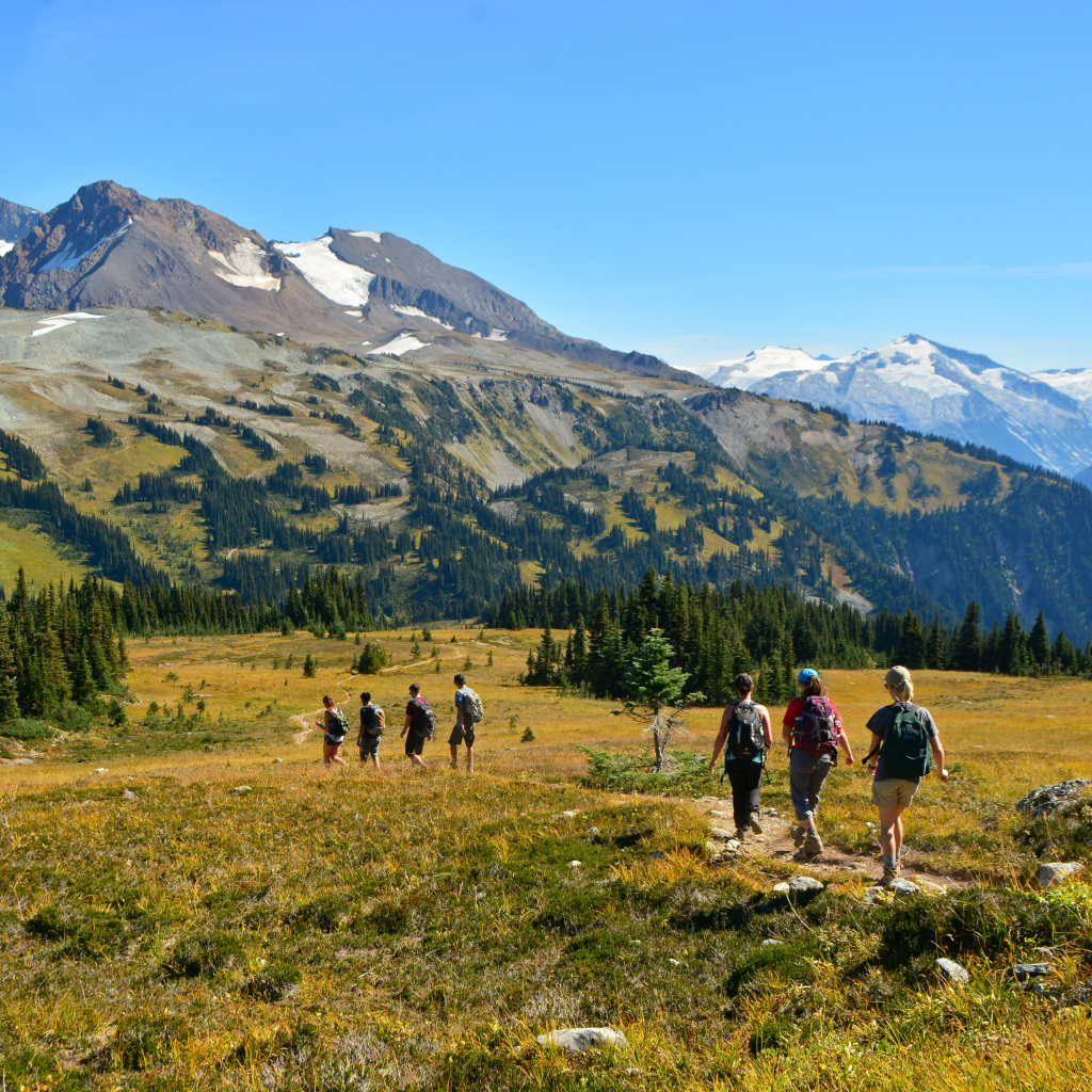 A group of hikers walking on a trail in a mountainous landscape with snow-capped peaks in the background and a clear blue sky.