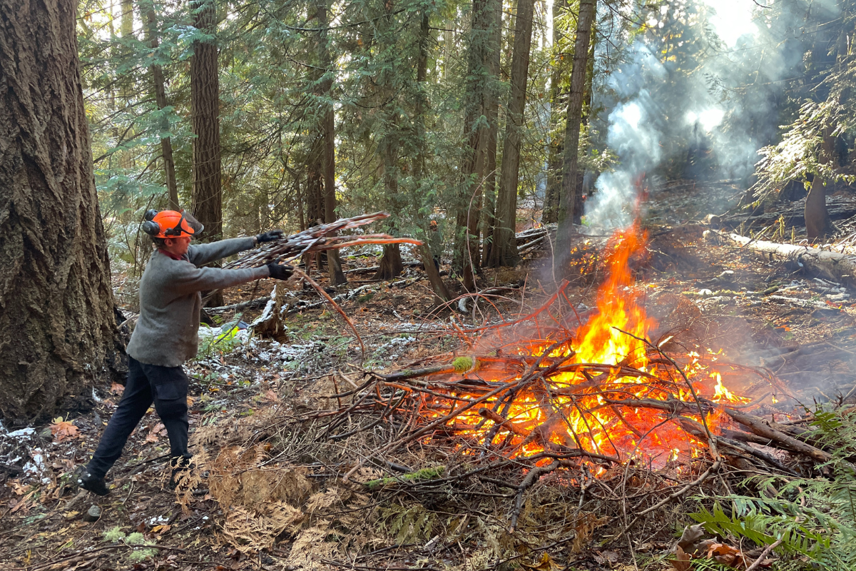 ȽÁU,WELṈEW̱/John Dean Park wildfire risk reduction project – BC Parks Blog